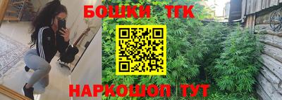 индика Владикавказ