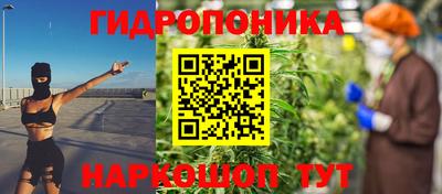 индика Владикавказ