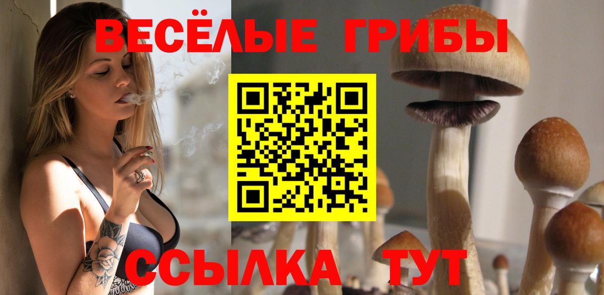 Полысаево  сколько стоит  Вход с VPN  Псилоцибиновые грибы мухоморы 